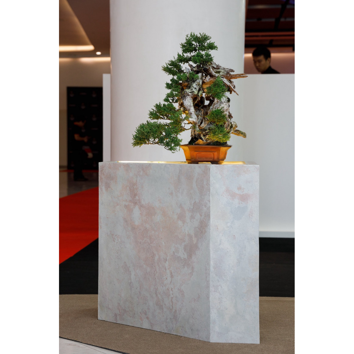 Натуральный гибкий камень для интерьера и фасадов GOLDEN OASIS