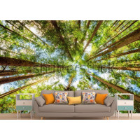 Фотообои летний лес