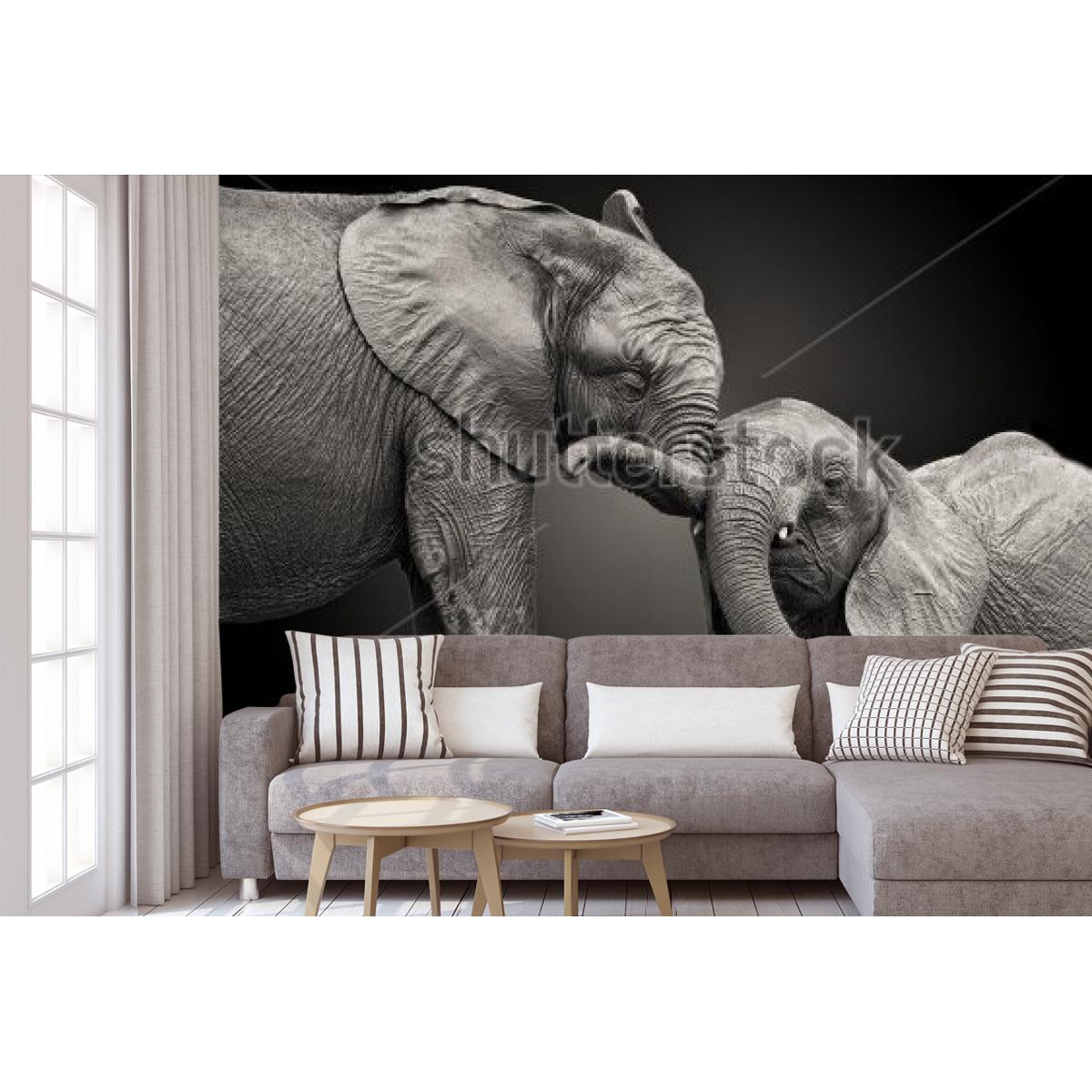 Фотошпалери Закохана пара слонів