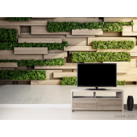 Фотошпалери дерево та зелень 3Д