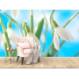 Фотообои подснежники
