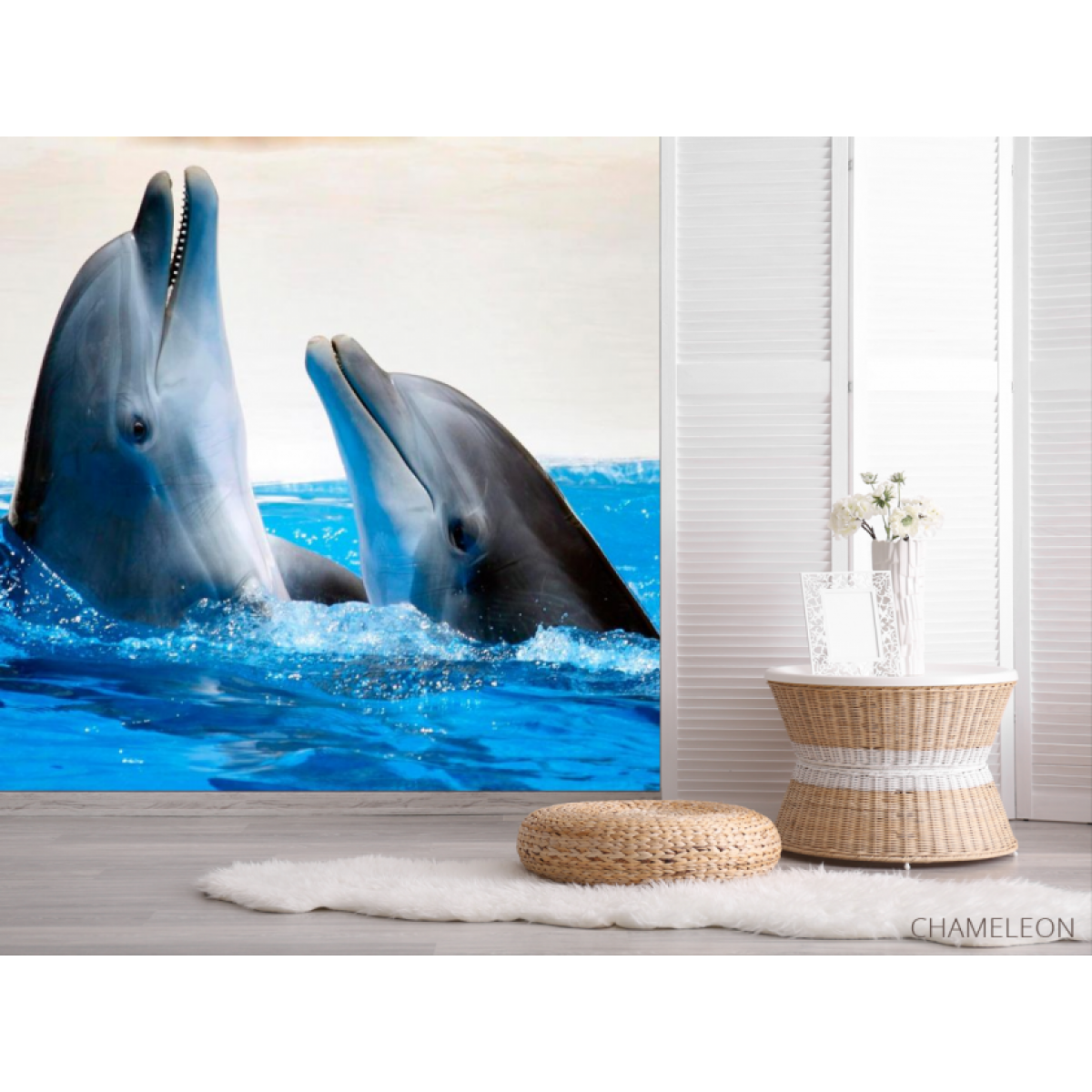 Фотошпалери Спілкування дельфінів