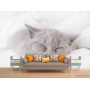 Фотообои серый котёнок спит