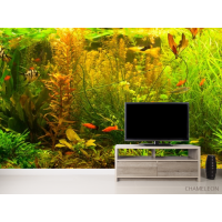 Фотошпалери акваріум