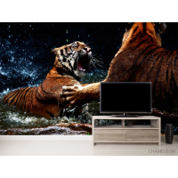 Фотошпалери Бійка тигрів