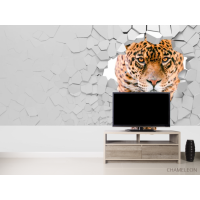 Фотошпалери 3 д тигр