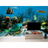 Фотошпалери Морські риби