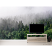 Фотошпалери Ліс у тумані