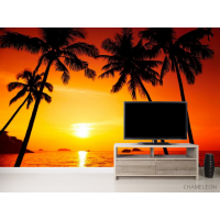 Фотошпалери Захід сонця, пальми