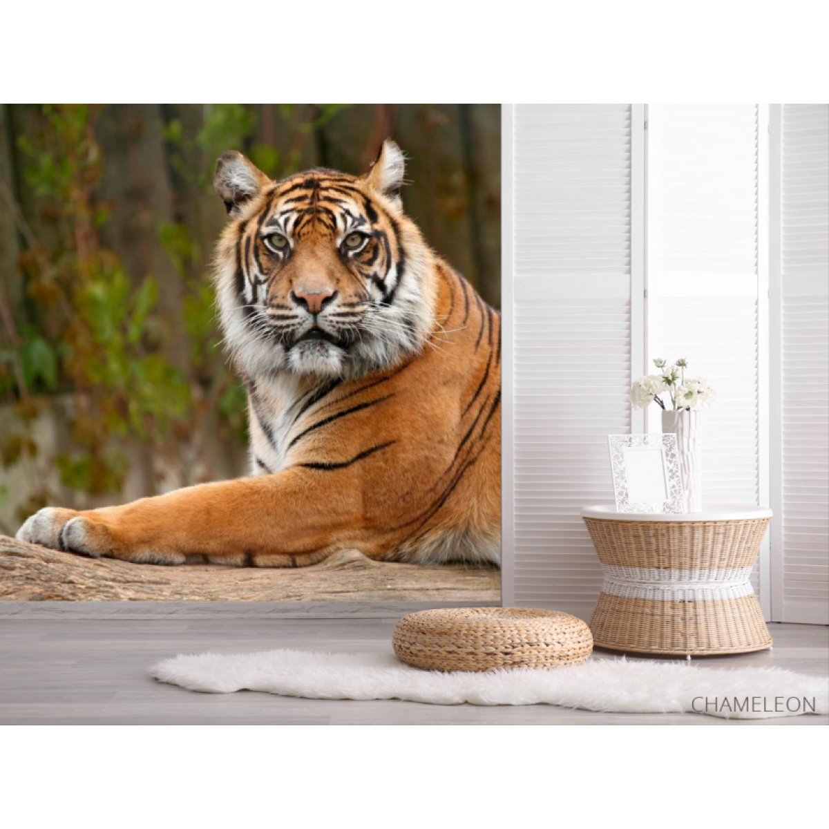 Фотообои Настороженный тигр