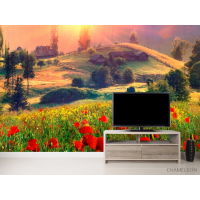 Фотошпалери Село, маки