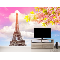 Фотообои розовое небо в Париже